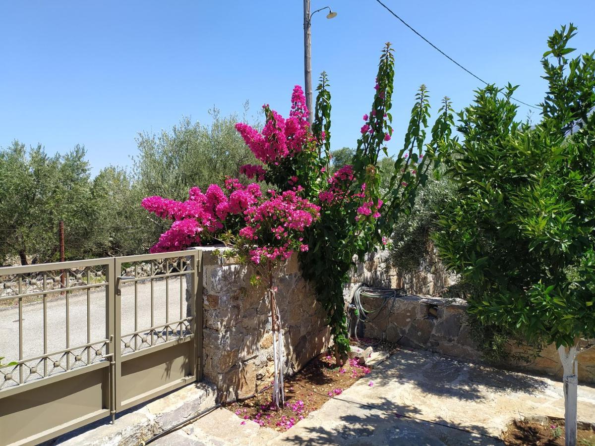 "Villa Kastania" Melidoni, Chania, Crete Exteriér fotografie