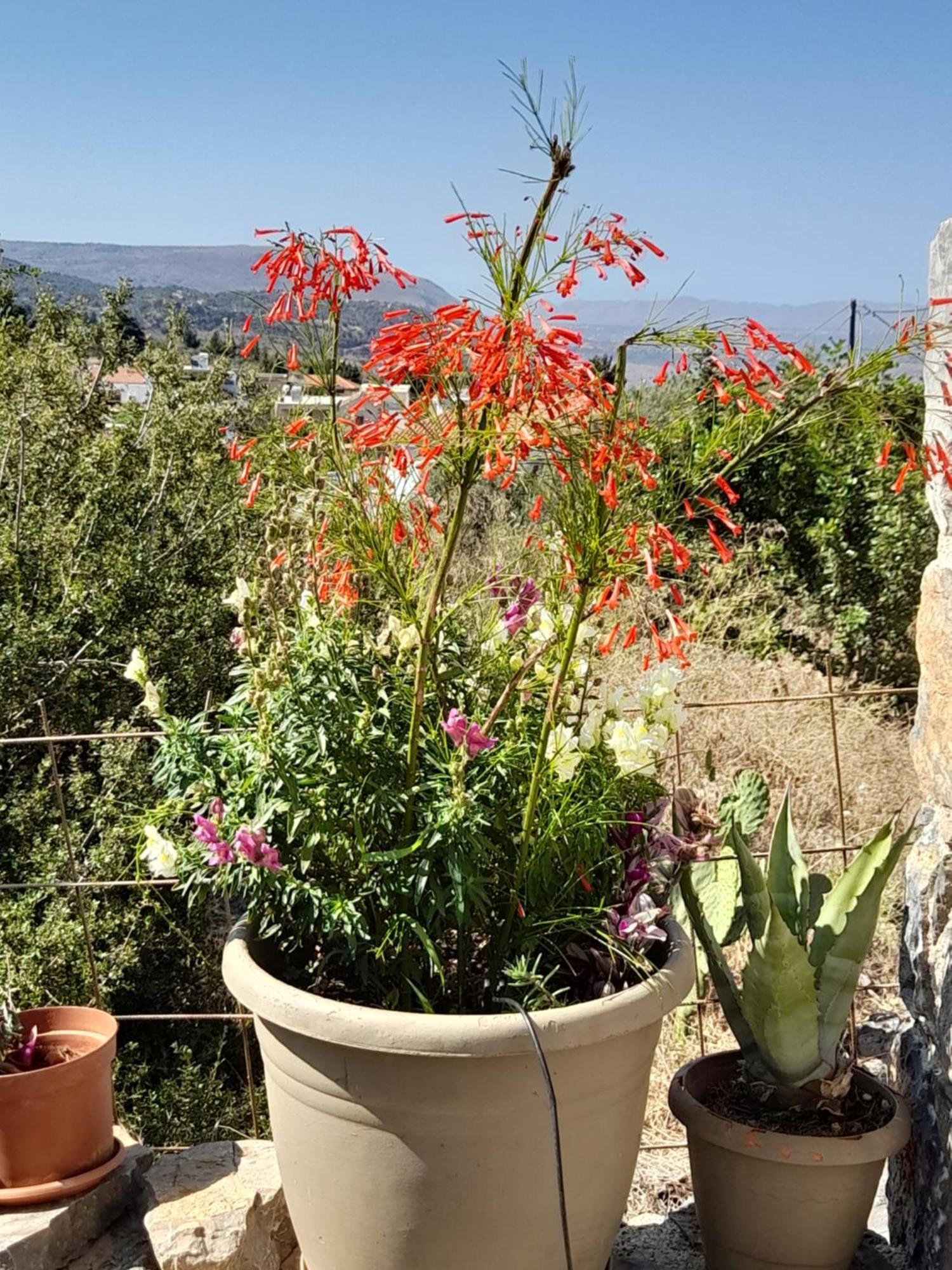 "Villa Kastania" Melidoni, Chania, Crete Exteriér fotografie