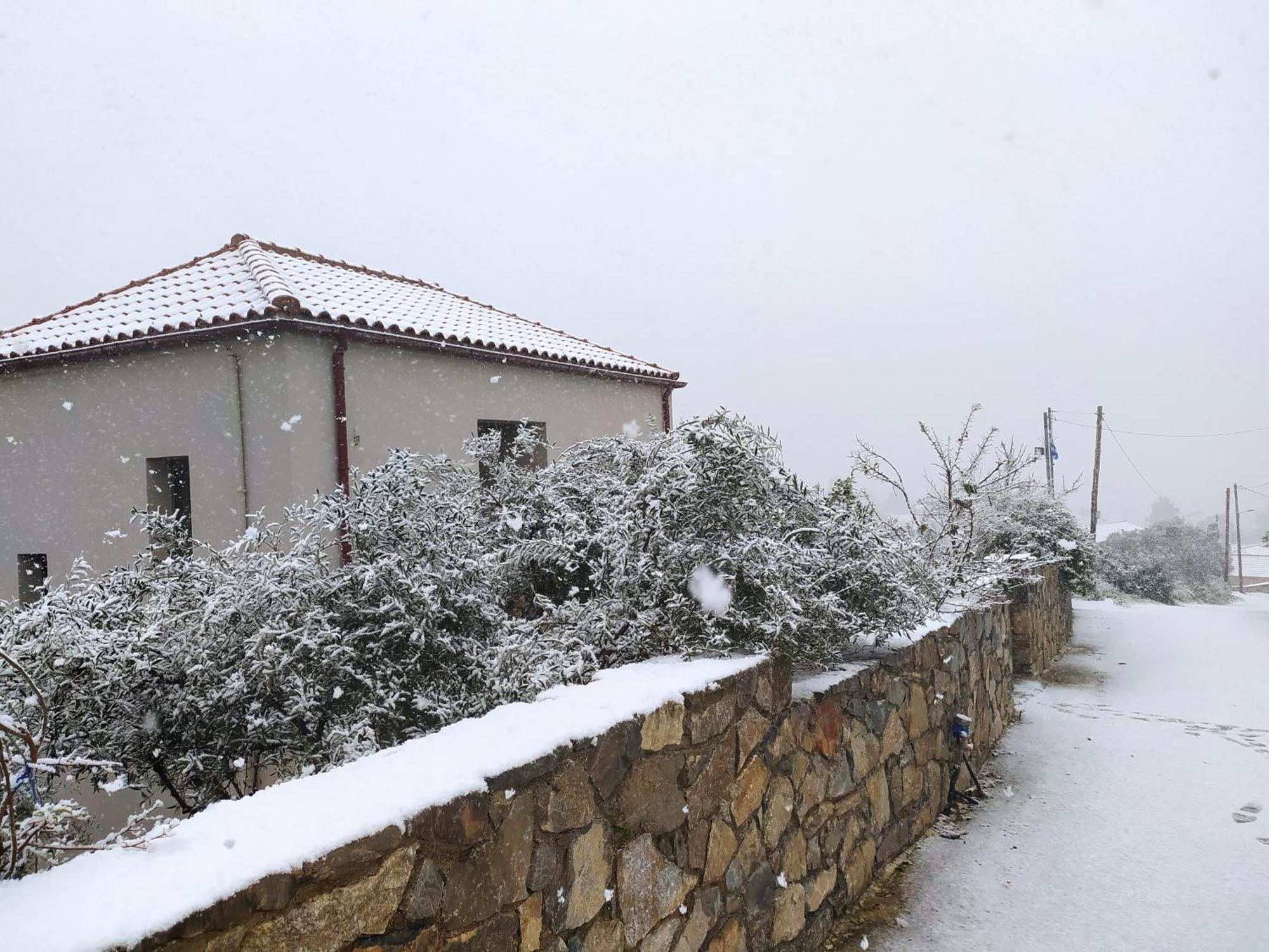 "Villa Kastania" Melidoni, Chania, Crete Exteriér fotografie